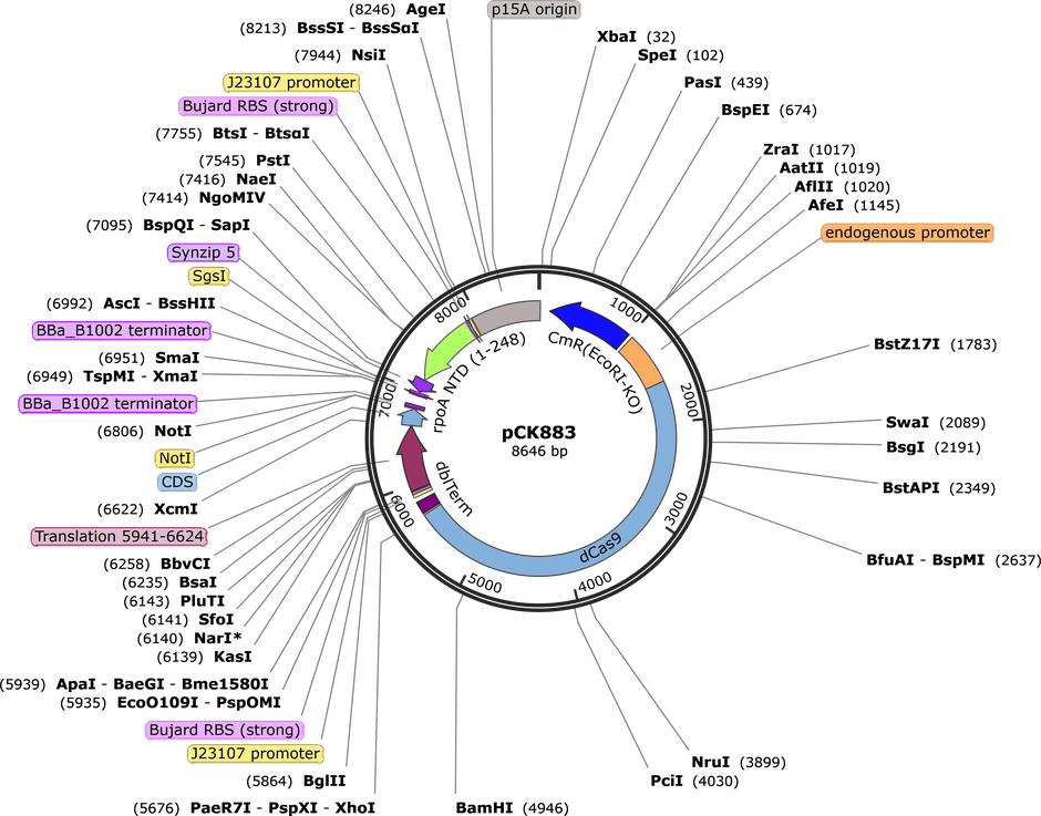 Author Map