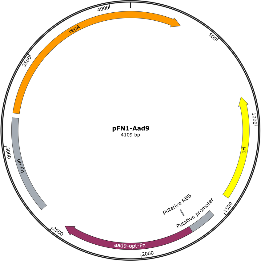 Author Map