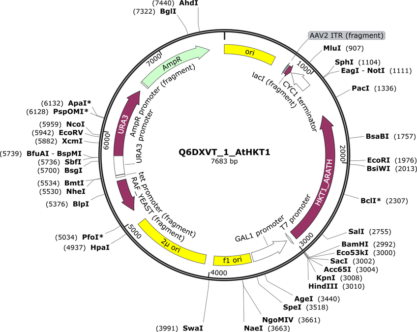 Author Map