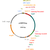 Author Map thumbnail