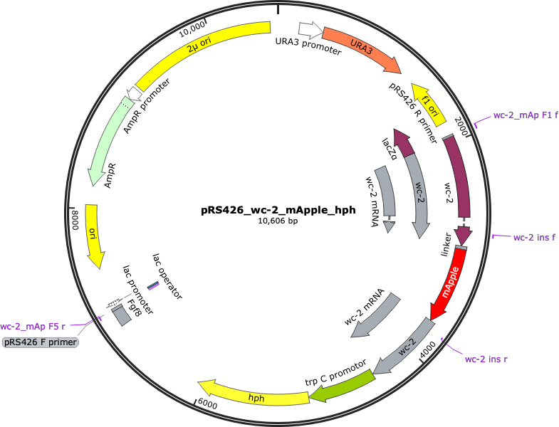 Author Map