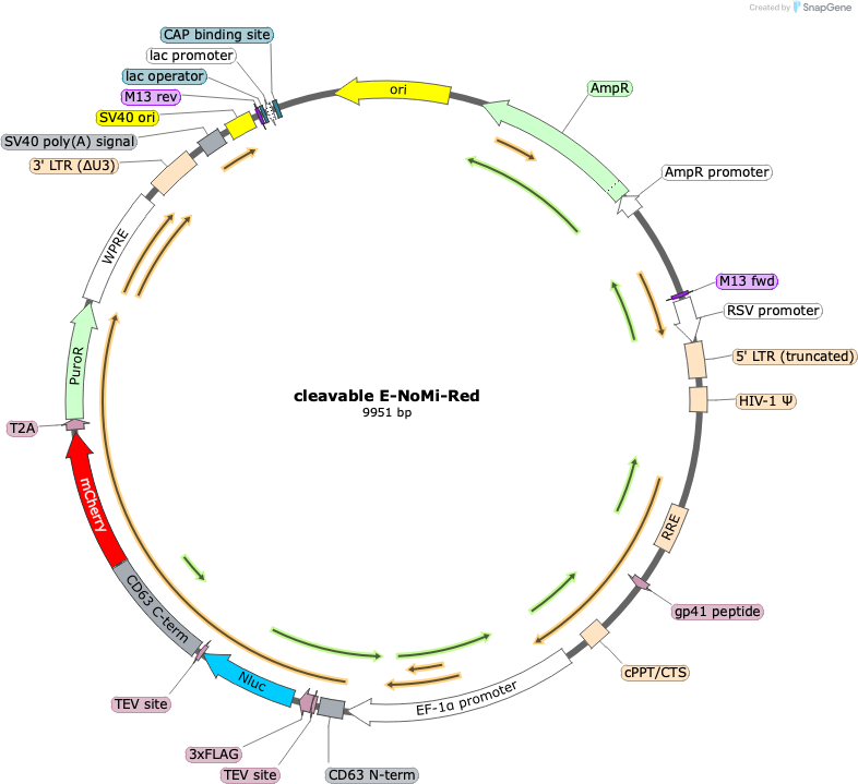 Author Map