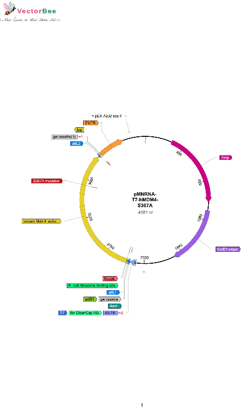 Author Map