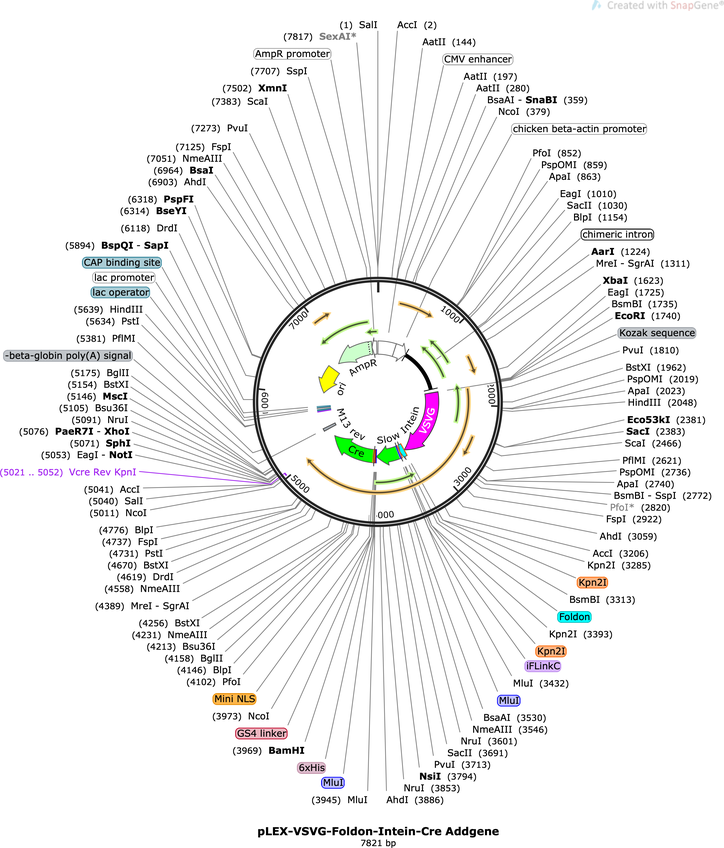 Author Map