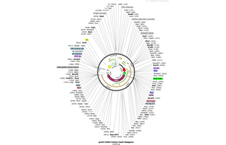 Author Map