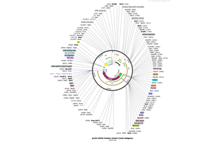 Author Map