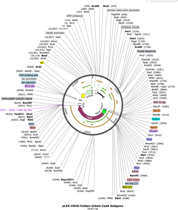 Author Map