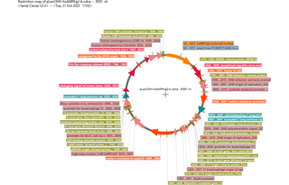Author Map