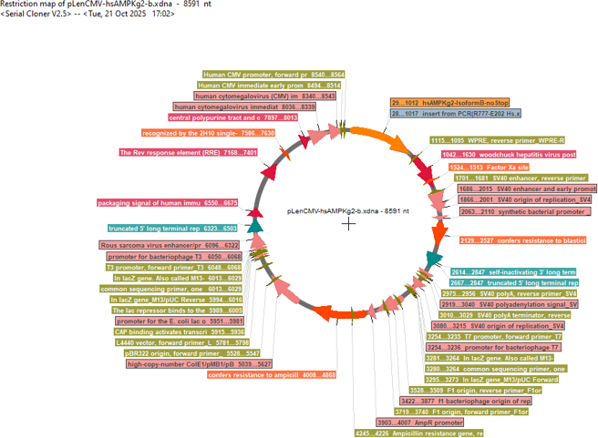 Author Map