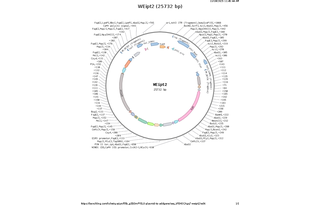 Author Map