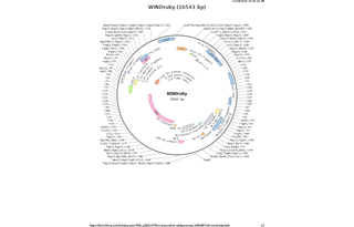 Author Map