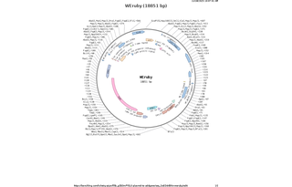 Author Map