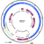 Author Map thumbnail