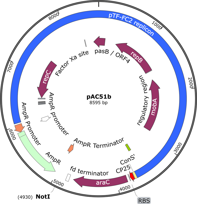 Author Map