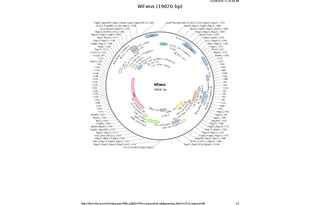 Author Map