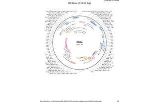 Author Map
