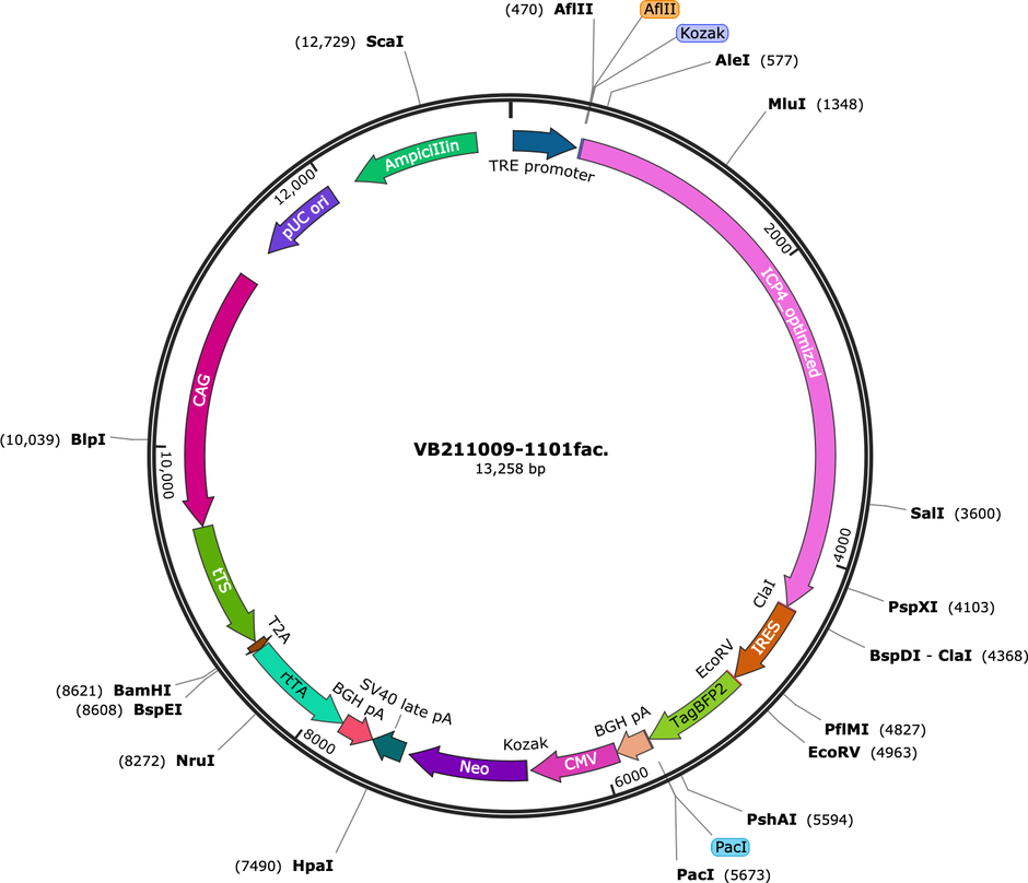 Author Map