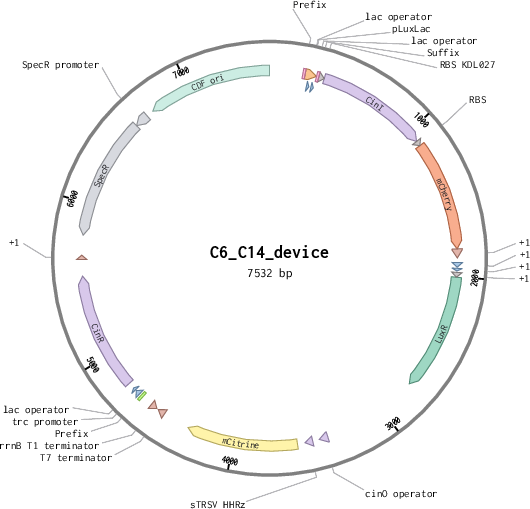 Author Map