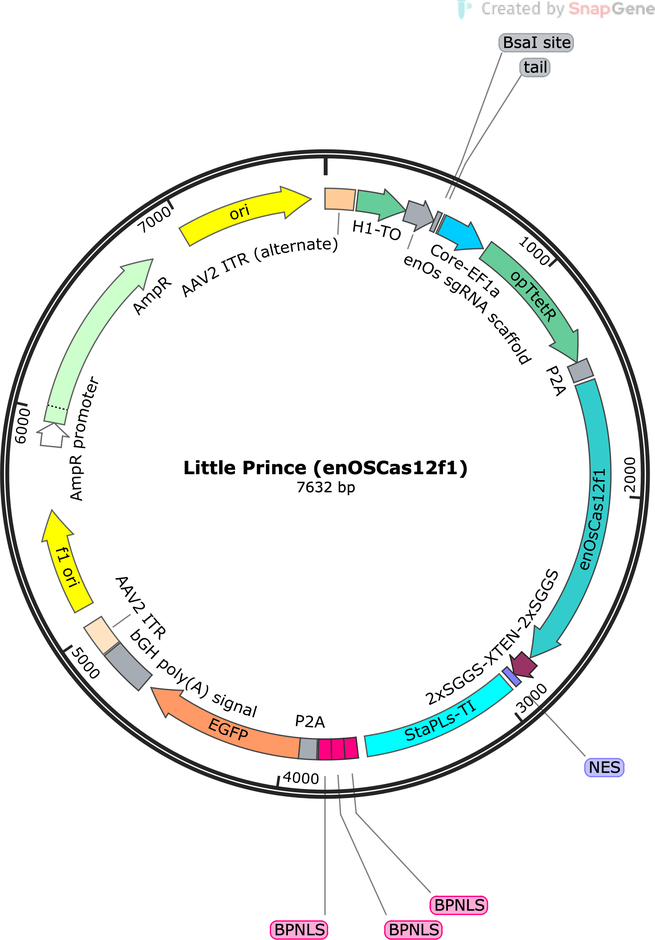 Author Map