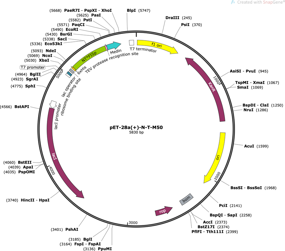 Author Map