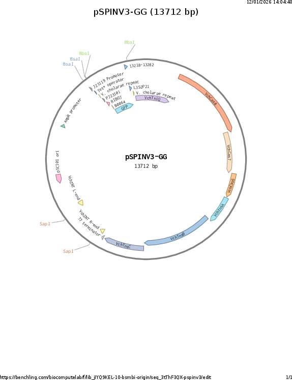 Author Map