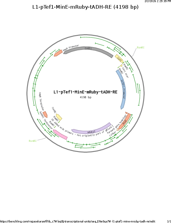 Author Map