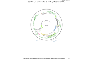 Author Map