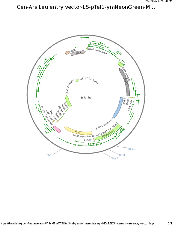 Author Map