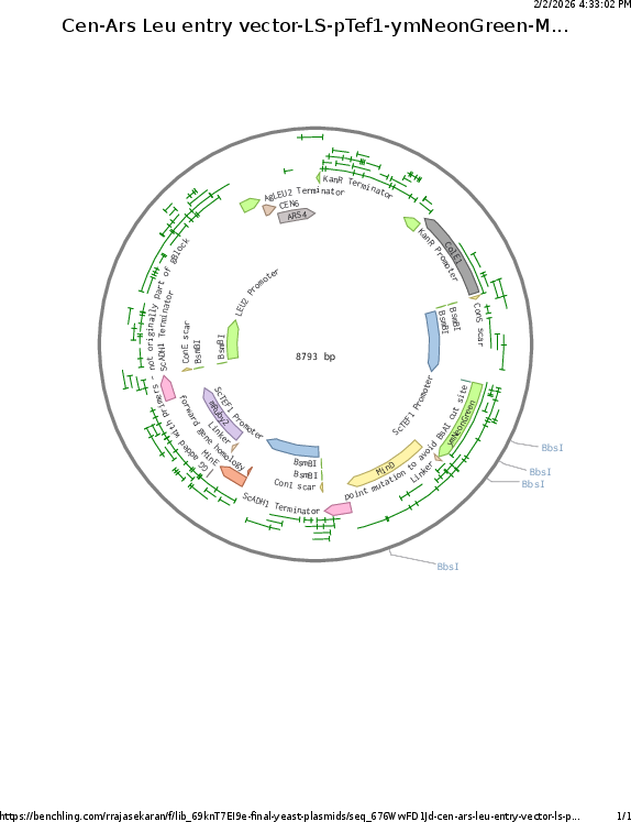 Author Map