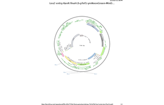 Author Map