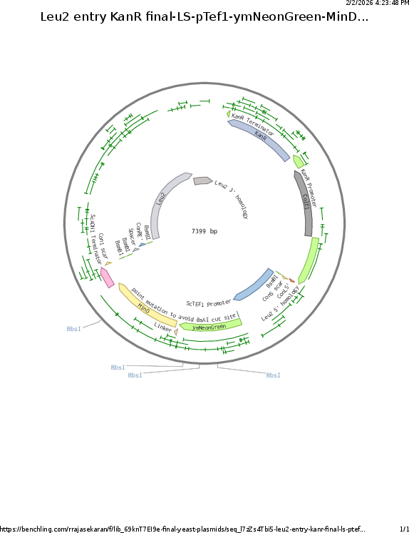 Author Map