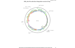 Author Map