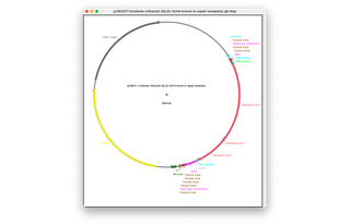 Author Map