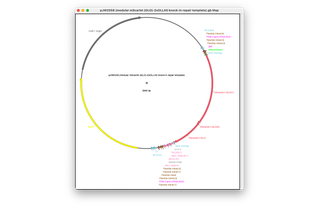 Author Map