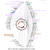 Author Map thumbnail