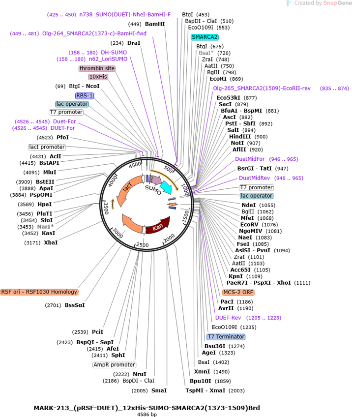 Author Map