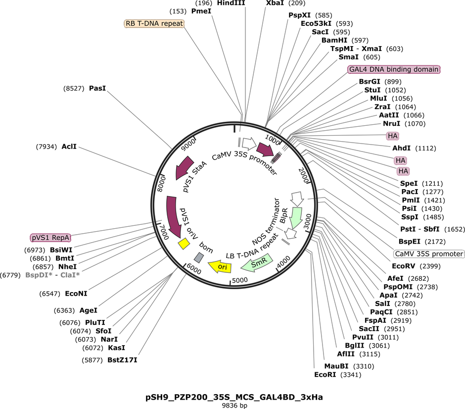 Author Map