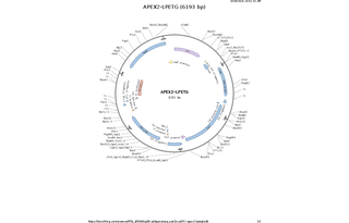 Author Map