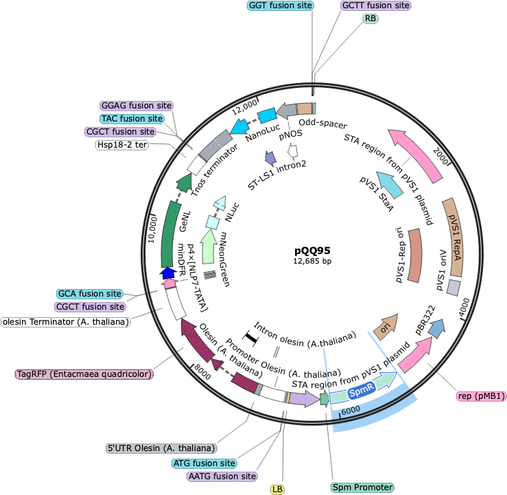 Author Map