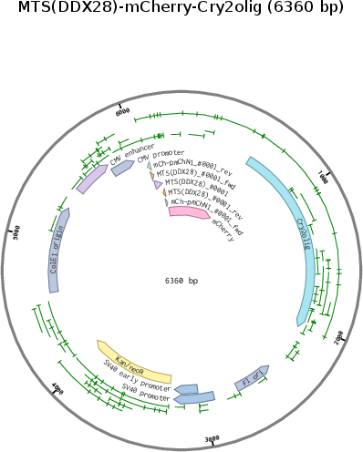 Author Map