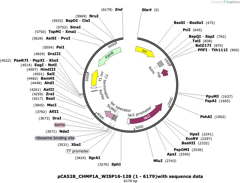 Author Map