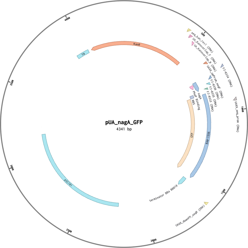 Author Map