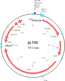 Author Map