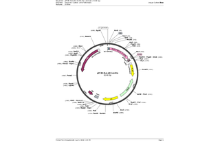 Author Map