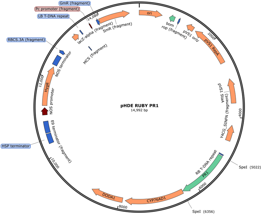 Author Map