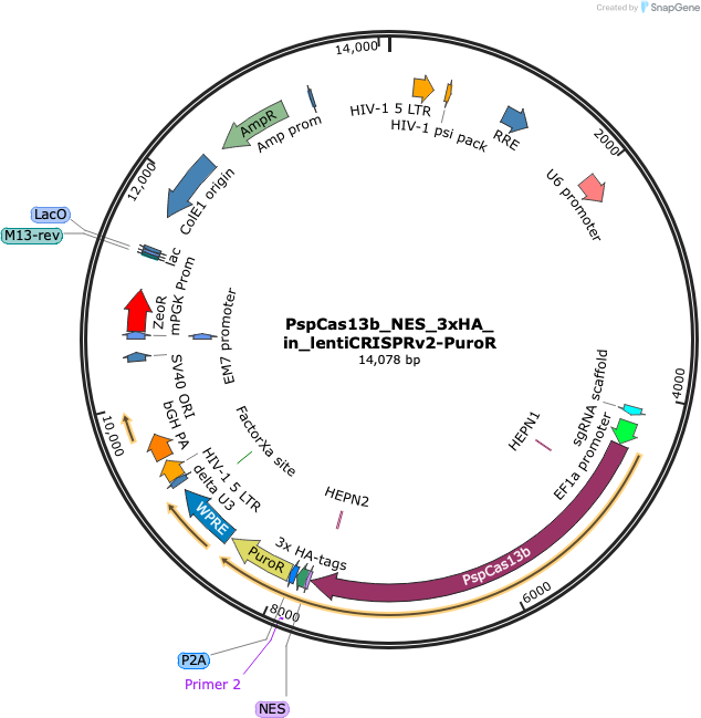 Author Map