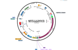 Author Map