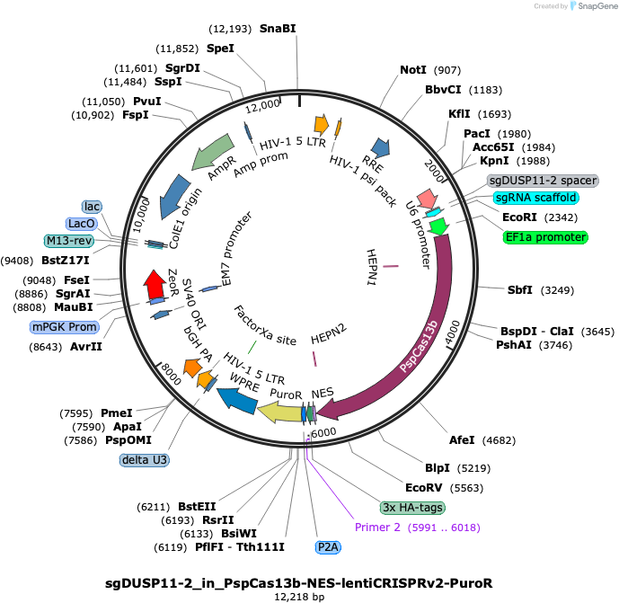Author Map