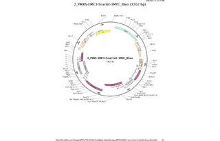 Author Map