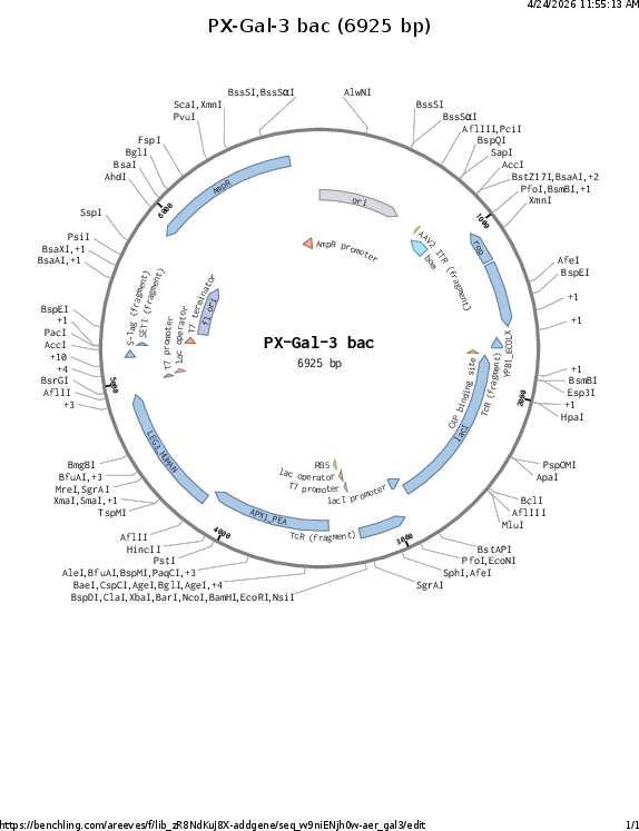 Author Map